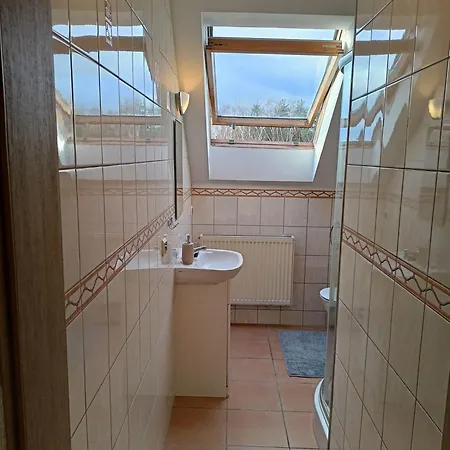 Anna Apartment Czarny Mlyn Room photo